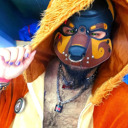 Pup Riku's photo