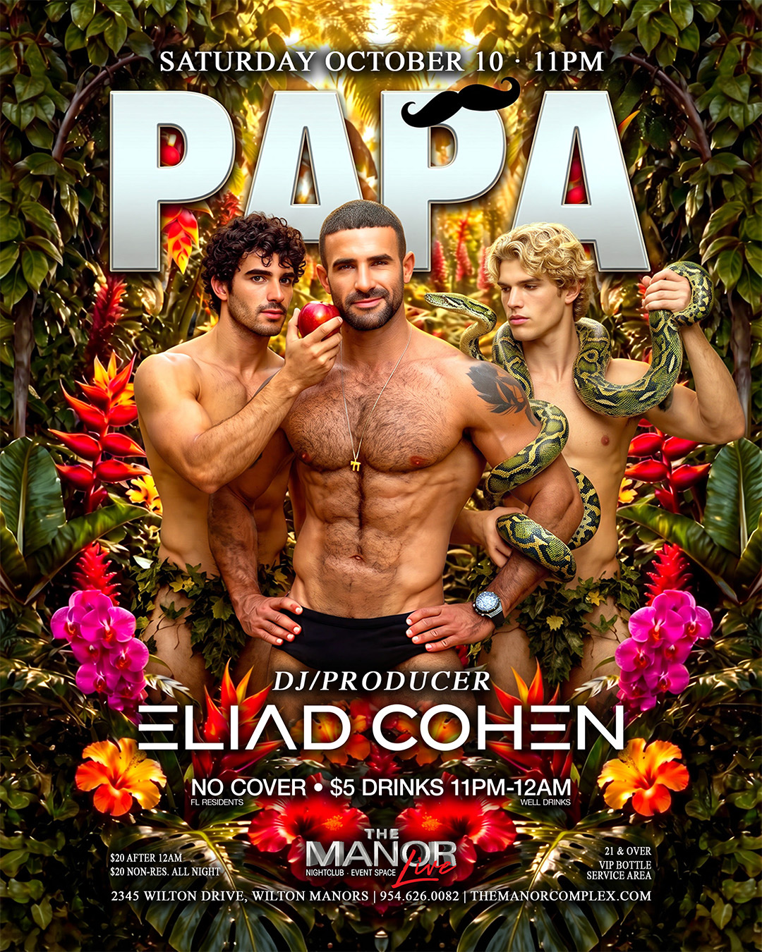 Poster for Papa Party