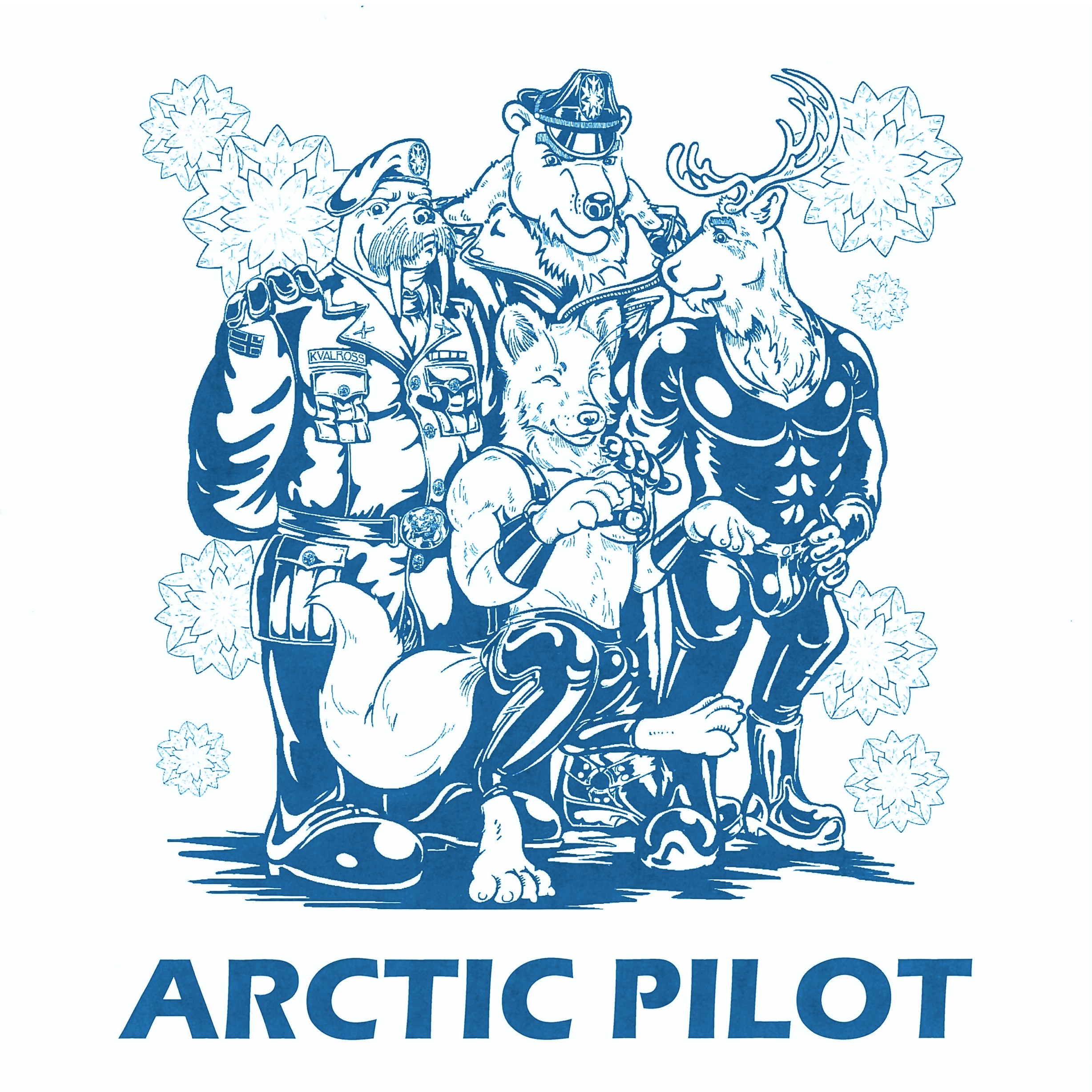 Poster for Arctic Pilot